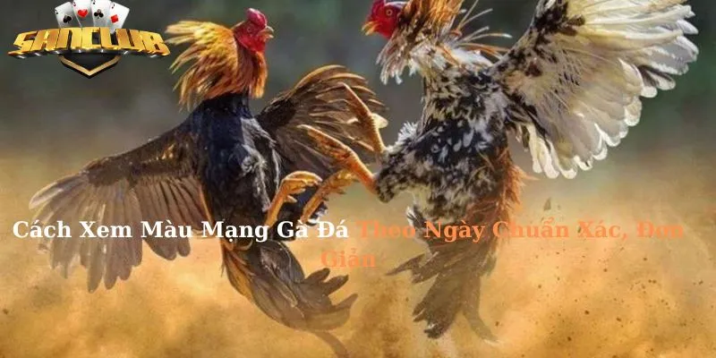 Cách Xem Màu Mạng Gà Đá Theo Ngày Chuẩn Xác, Đơn Giản