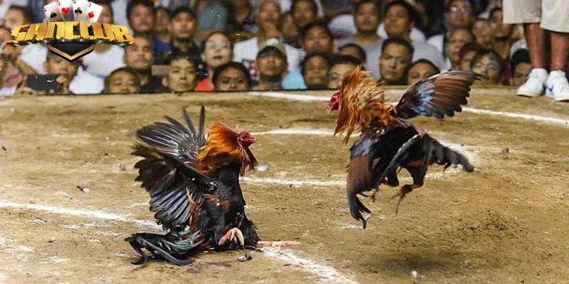 Sảnh chơi mang đến cơ hội kiếm tiền cực lớn