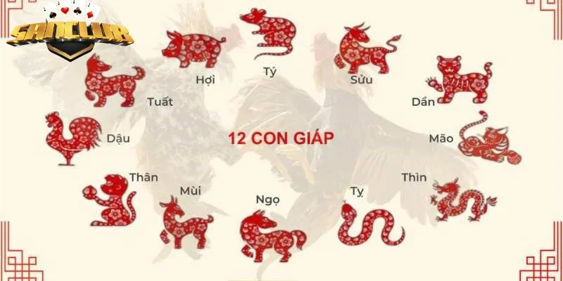 Xem ngày gà đá theo 12 con giáp